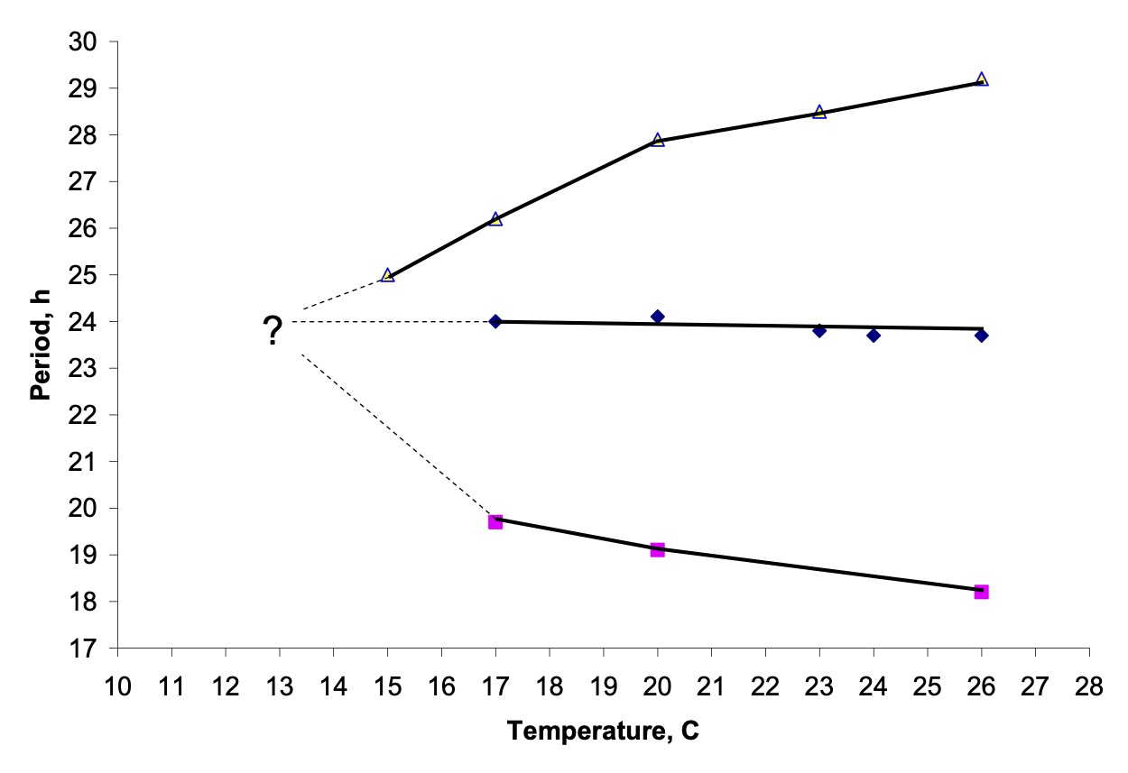 Effect temperature Drosophila