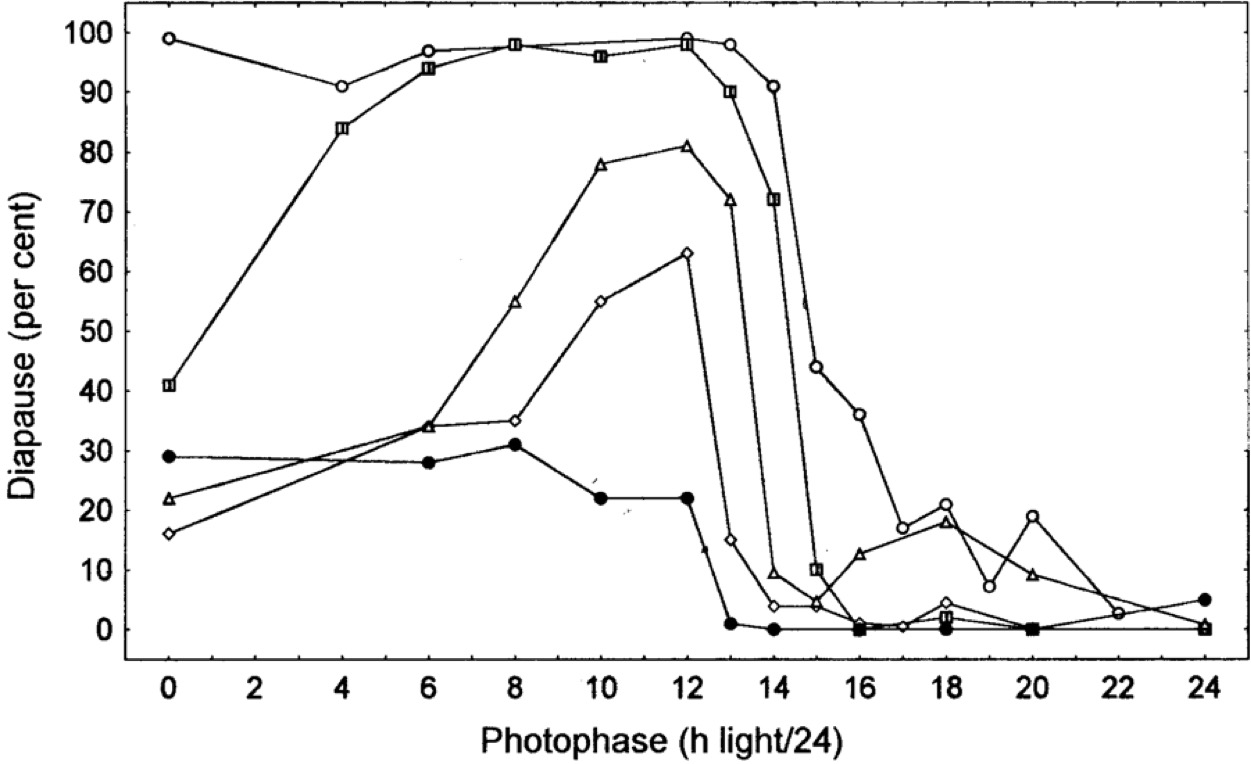 Photoperiodic responses calliphora